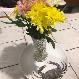 Meet your Posher, Lori